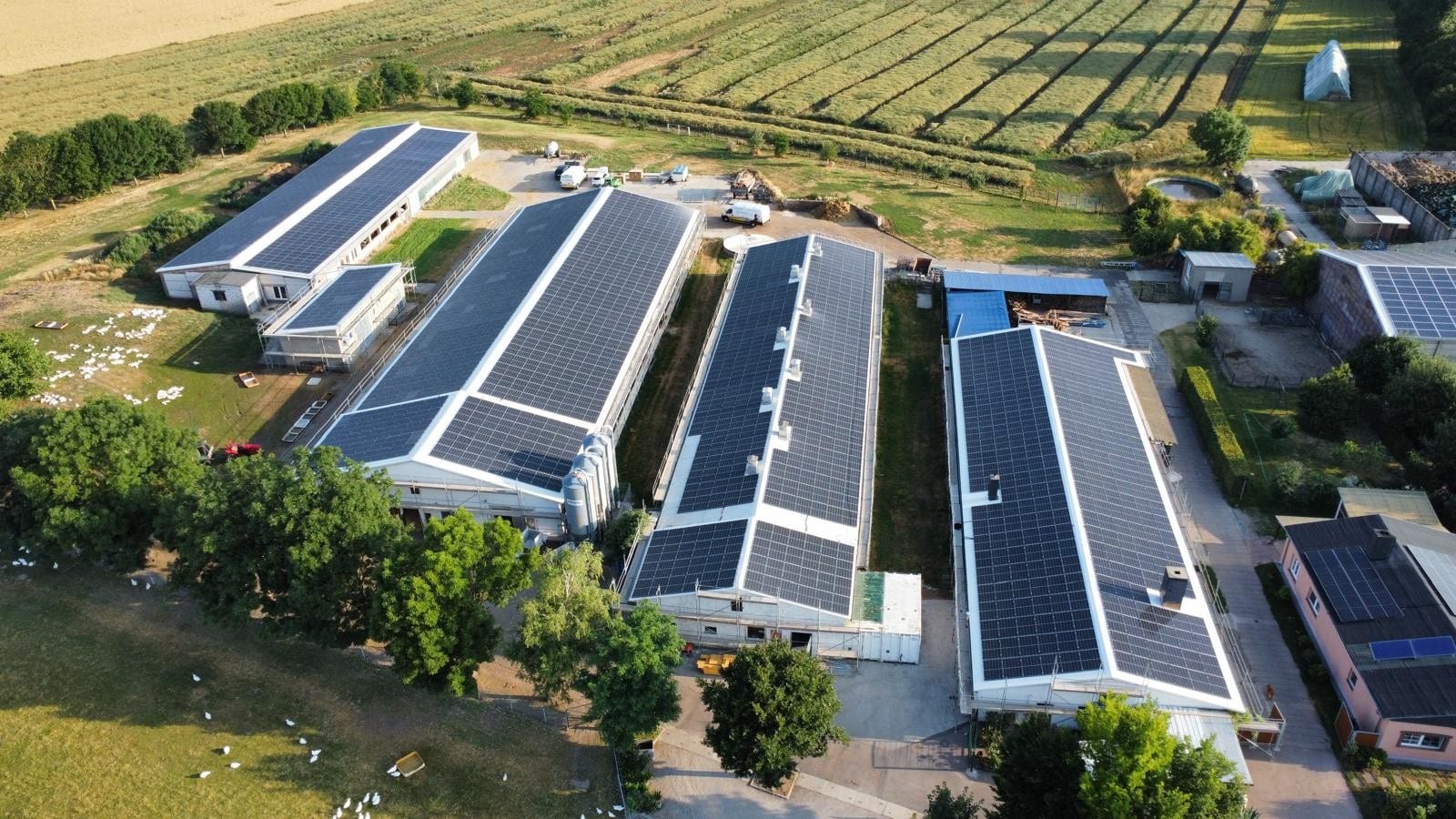 843 kWp Photovoltaik Pachtanlage auf den Stalldächern eines Geflügelhofs in Wulferstedt